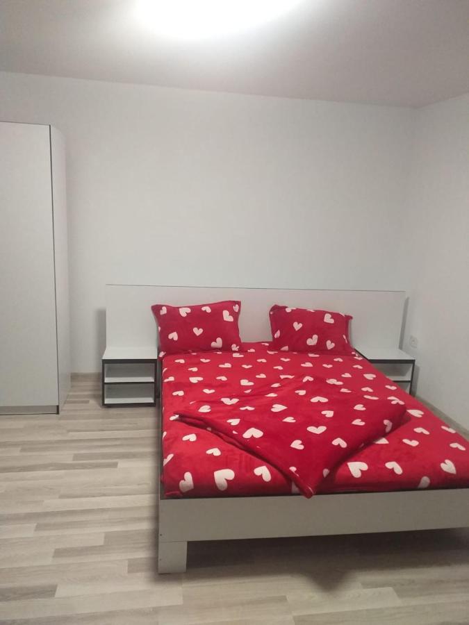Casa De Vacanta Maga 두보바 외부 사진